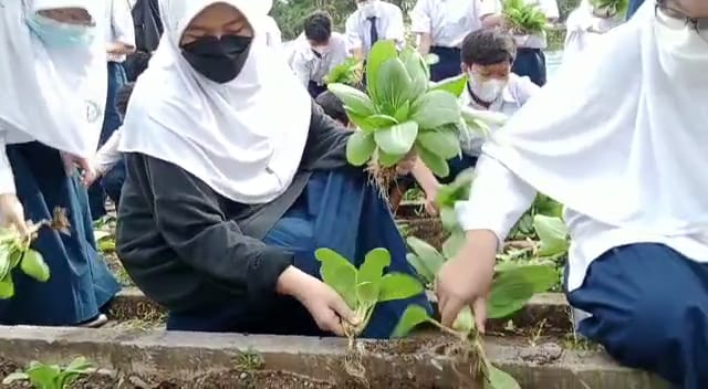 SMP Islam Alsyukro Universal Gulirkan Urban Farming, Lahirkan Jiwa Enterpreneurship