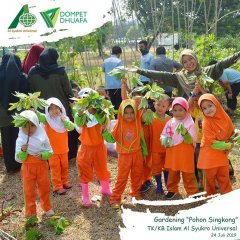 alsyukrouniversal-gardening-pohon-singkong-001.jpg