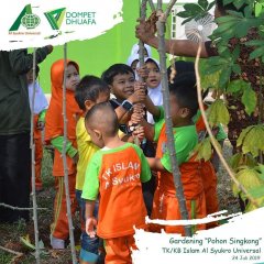 alsyukrouniversal-gardening-pohon-singkong-004.jpg