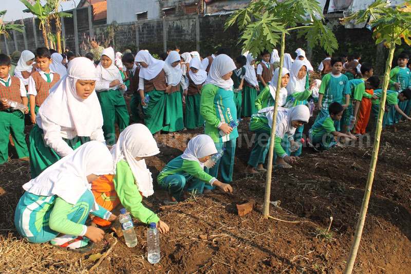 24092014 Gardening