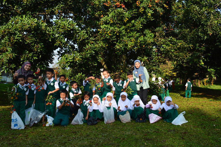 25022015 panen2